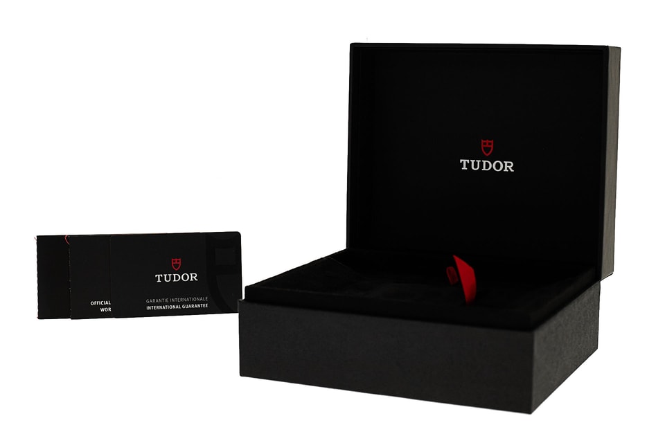 Tudor Pelagos M25610TNL-0001 Image 4